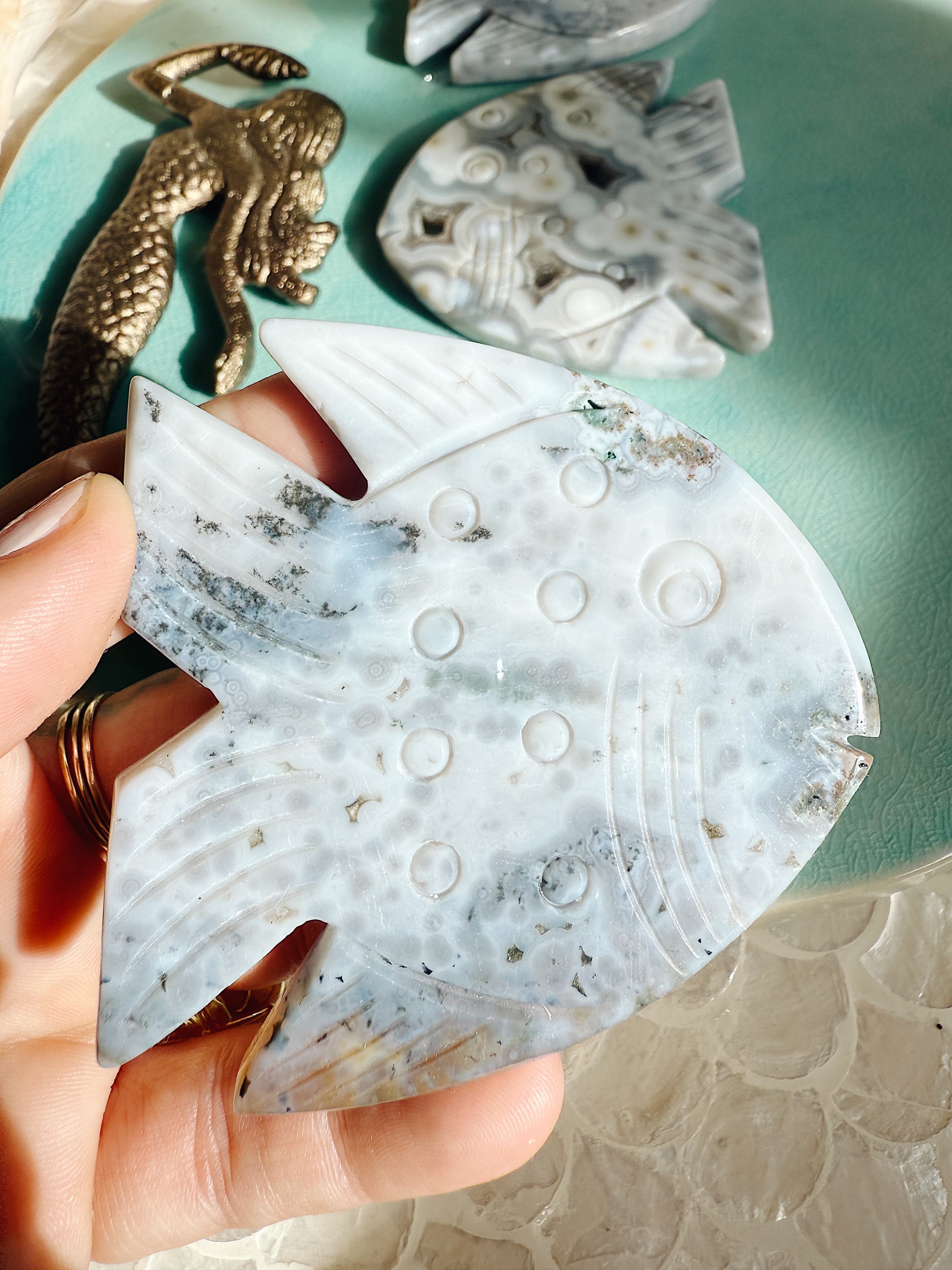Ocean Jasper Fish
