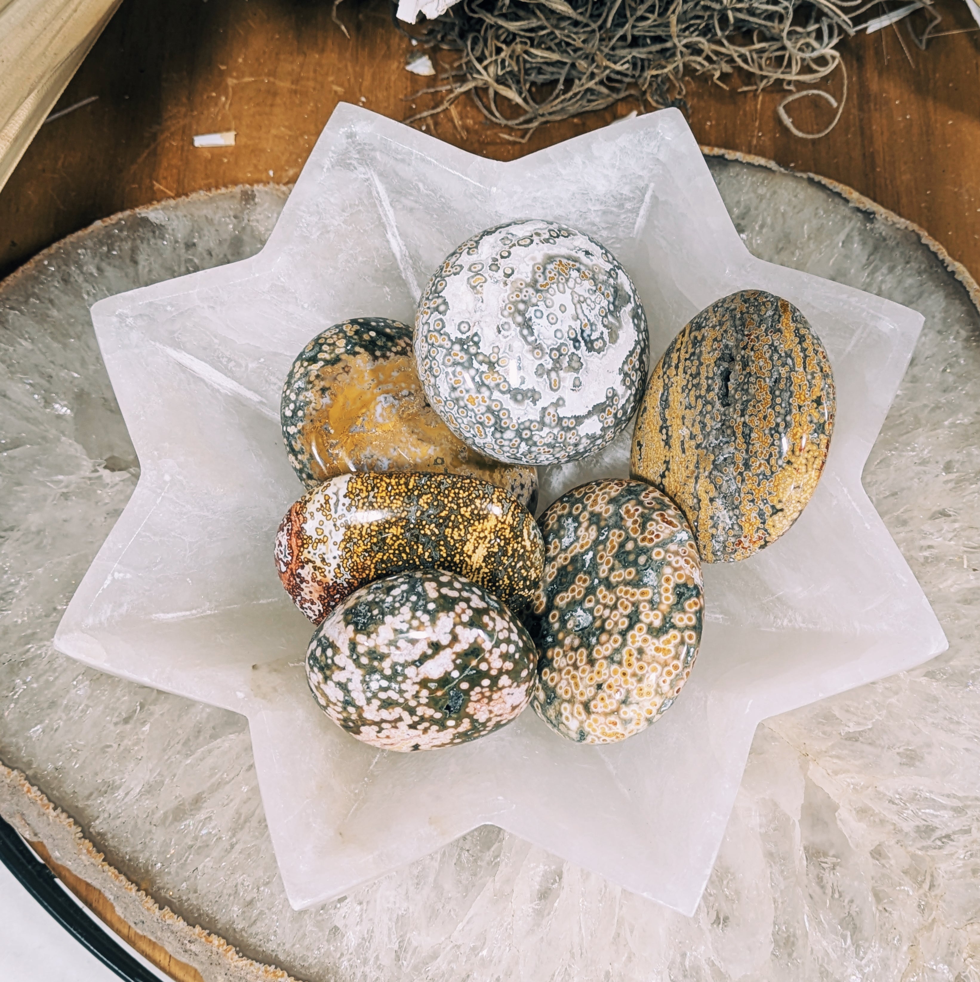 Luxe Intuitively Chosen Ocean Jasper Palm Stone Wild Alabaster