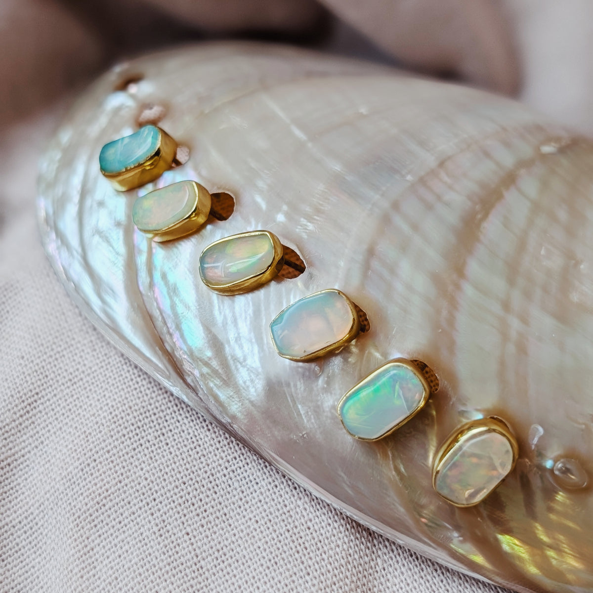 Neptune’s Muse Stud Earrings | Larimar, Opal + Ammonite