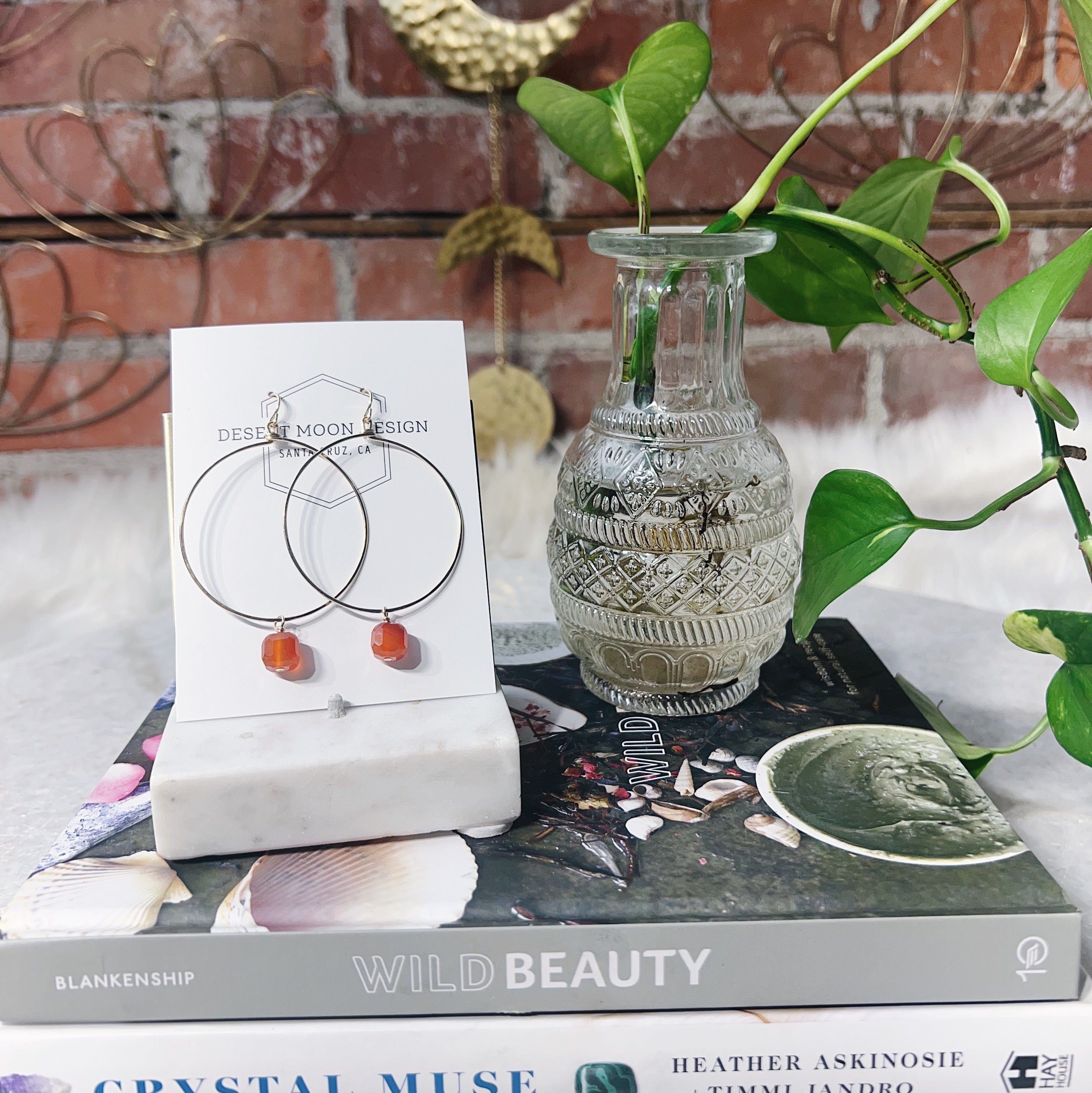 Desert Moon Carnelian Hoop Earrings Desert Moon