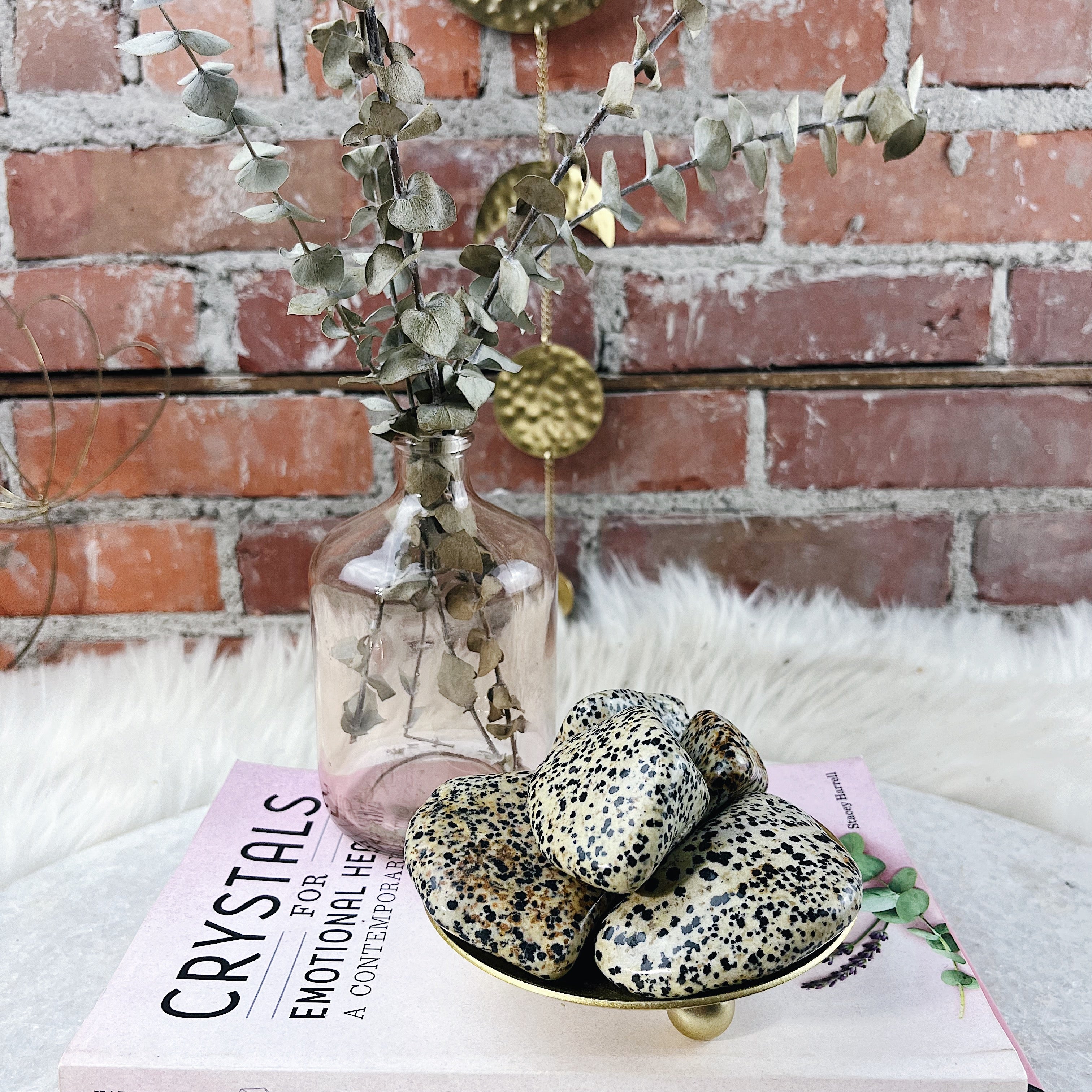 Intuitively Chosen Dalmatian Jasper Palm Stone Wild Alabaster