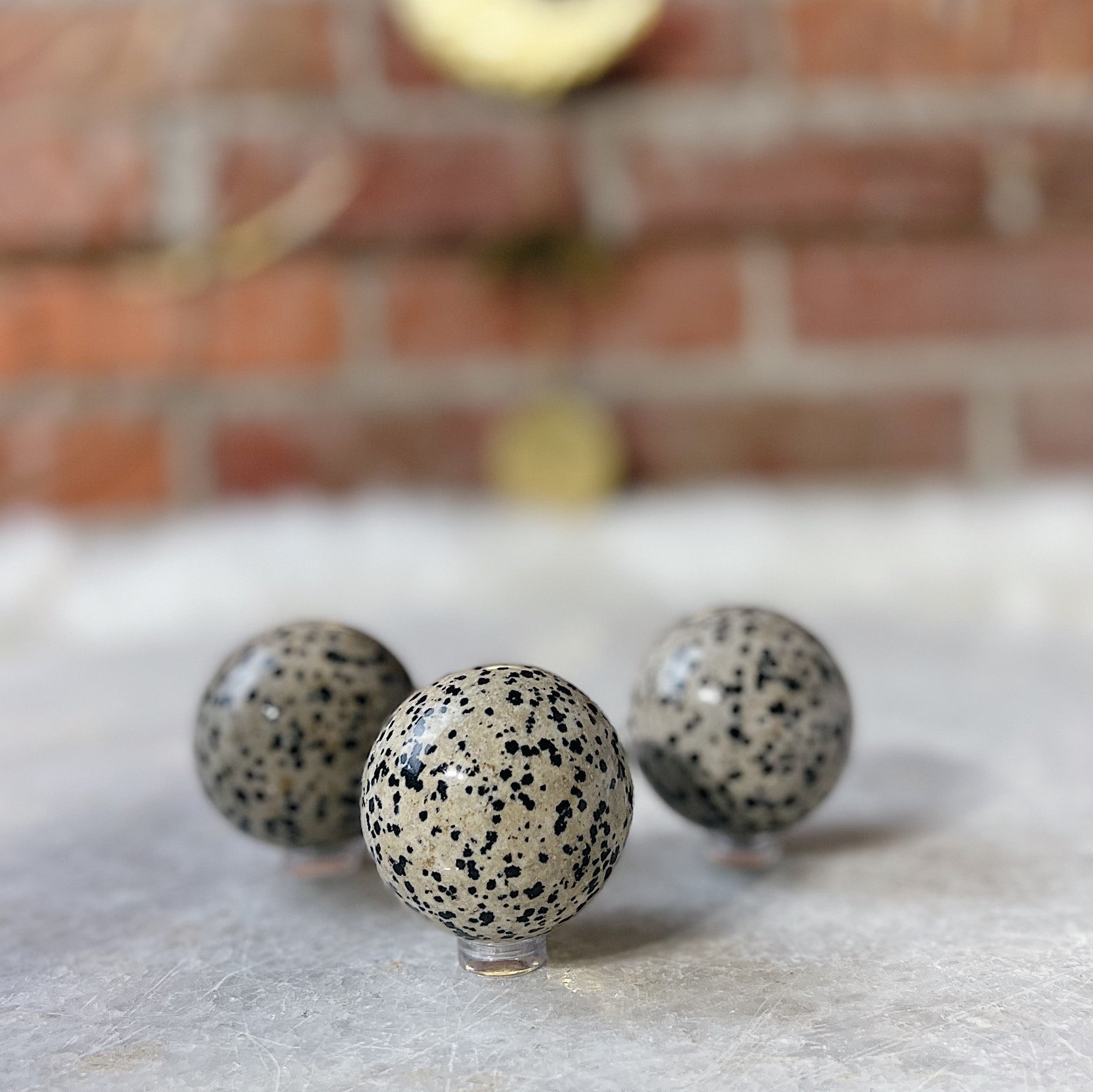 Intuitively Chosen Dalmatian Jasper Sphere Wild Alabaster