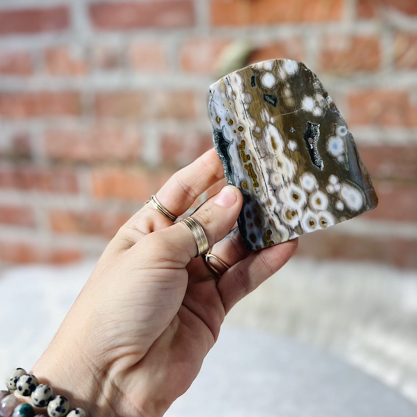 Intuitively Chosen Ocean Jasper Slab Wild Alabaster