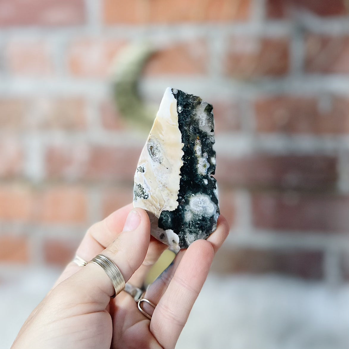 Intuitively Chosen Ocean Jasper Slab Wild Alabaster