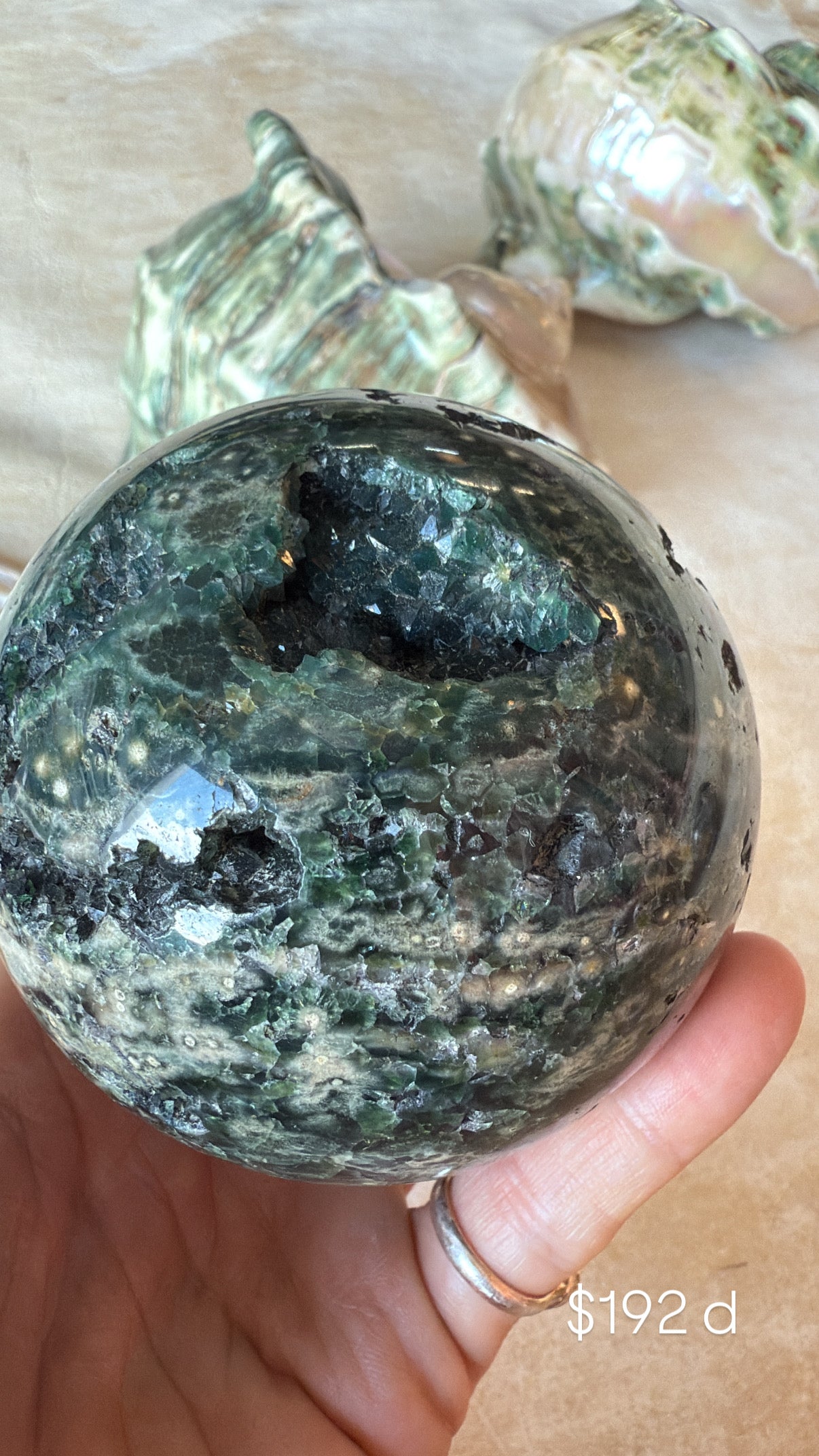 Ocean Jasper D