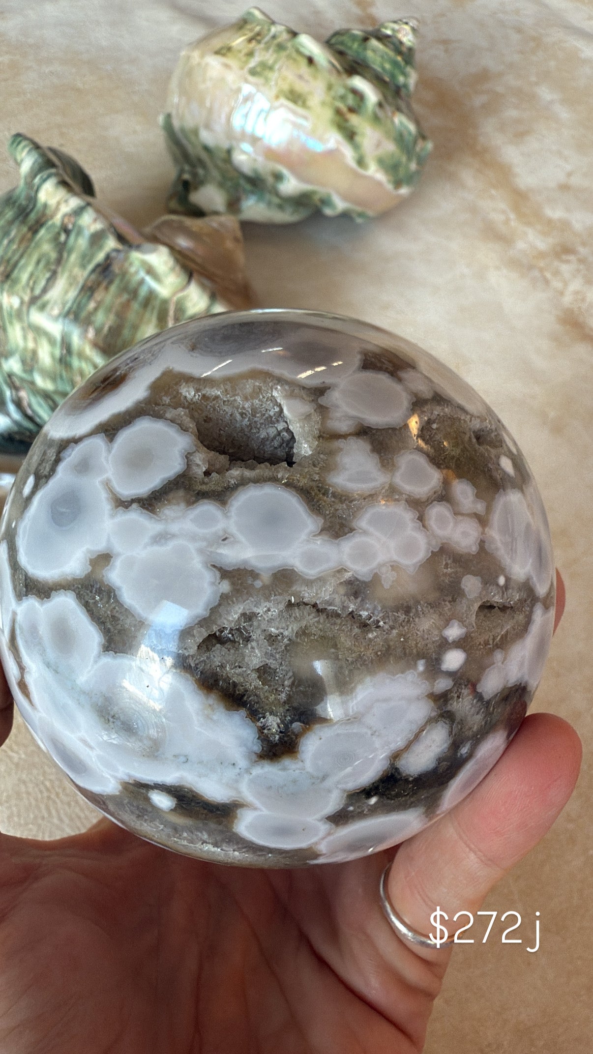 Ocean Jasper J