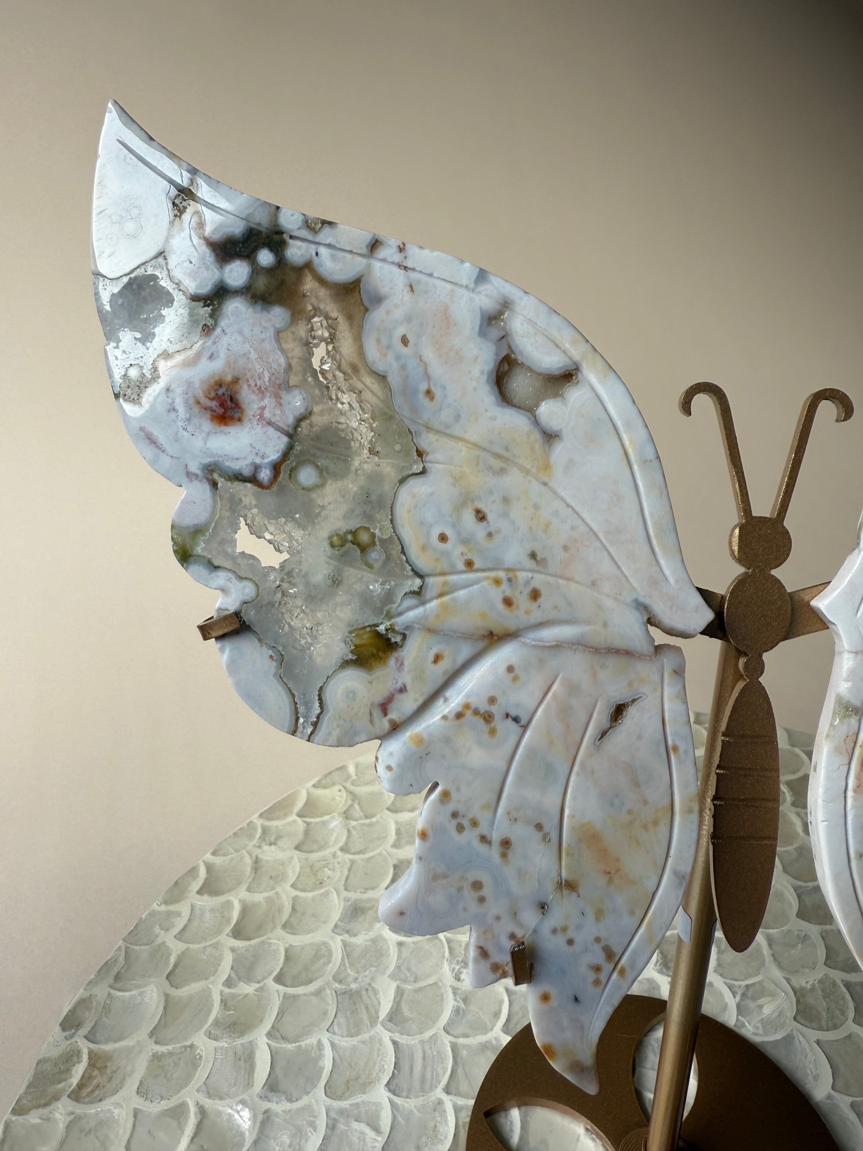 Ocean Jasper Butterfly Wings on Stand