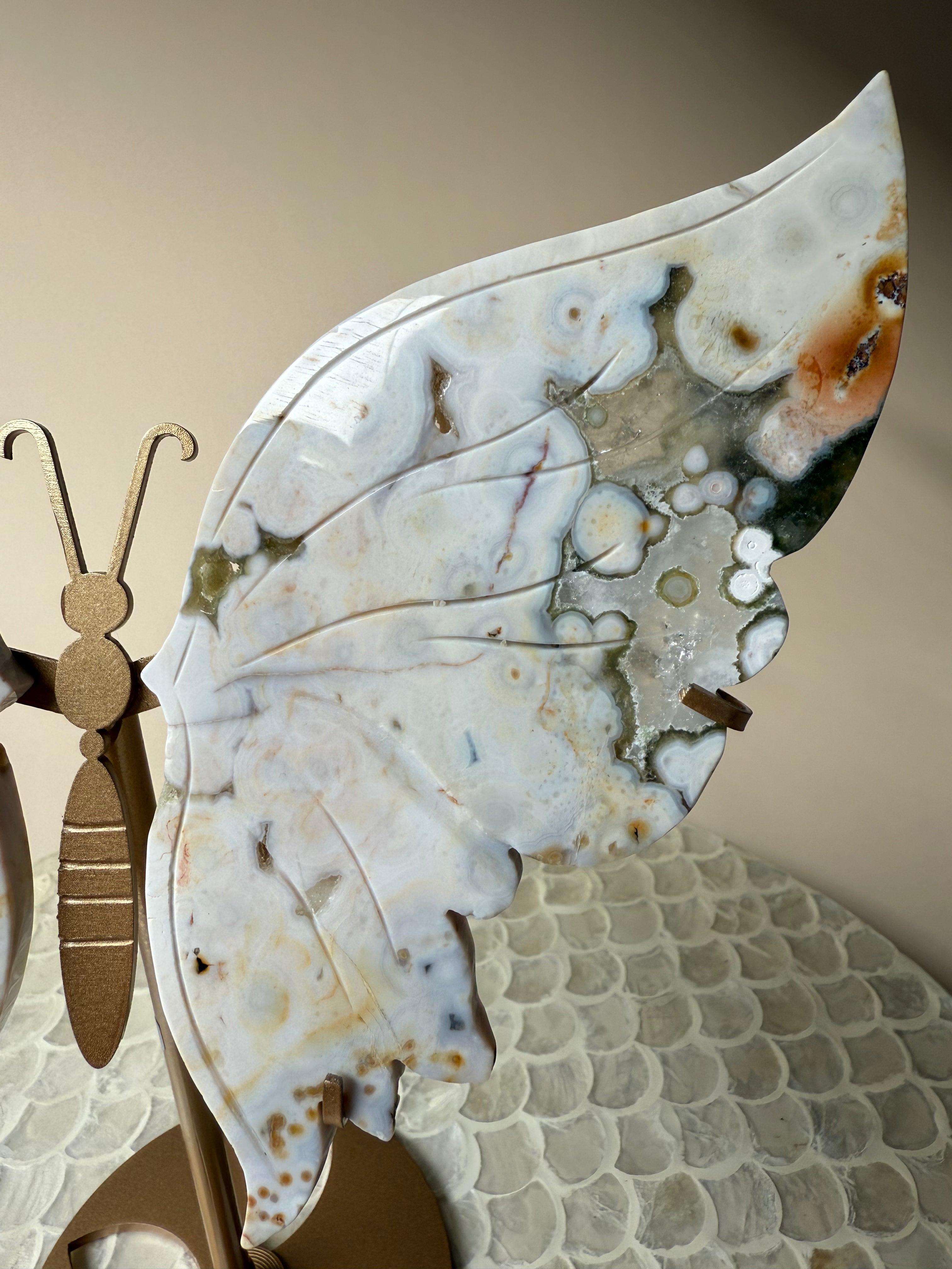 Ocean Jasper Butterfly Wings on Stand