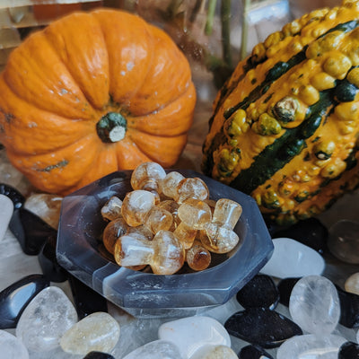Intuitively Chosen Citrine Mini Magic Mushroom Wild Alabaster