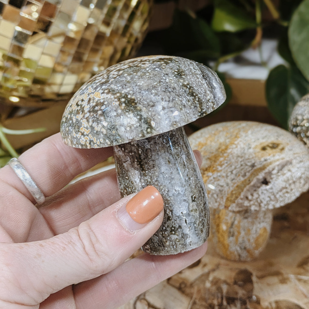 Ocean Jasper Mushrooms Wild Alabaster