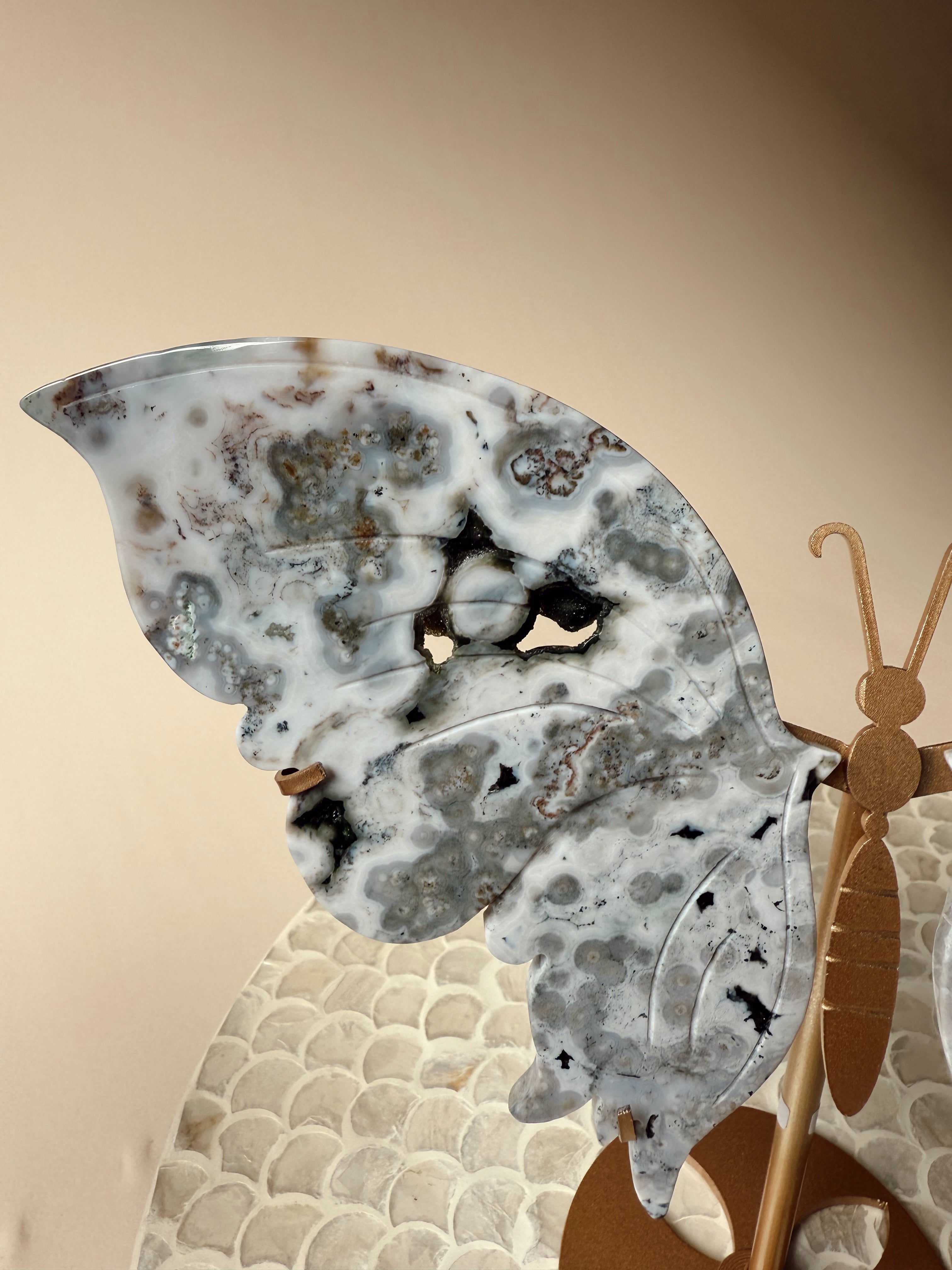 Ocean Jasper Butterfly Wings on Stand