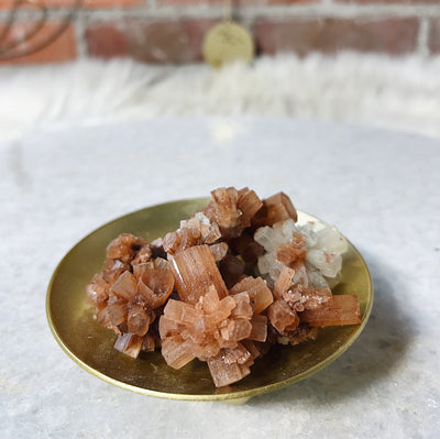 Intuitively Chosen Star Aragonite Cluster Trio Wild Alabaster