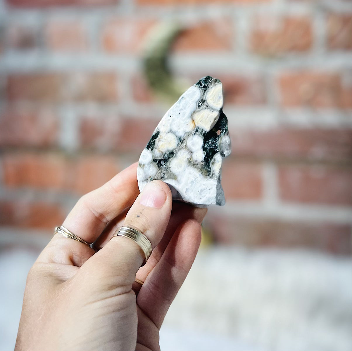 Intuitively Chosen Ocean Jasper Slab Wild Alabaster