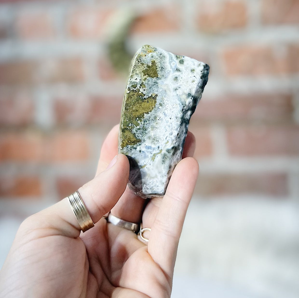 Intuitively Chosen Ocean Jasper Slab Wild Alabaster